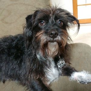 Meet your Posher, Rowena